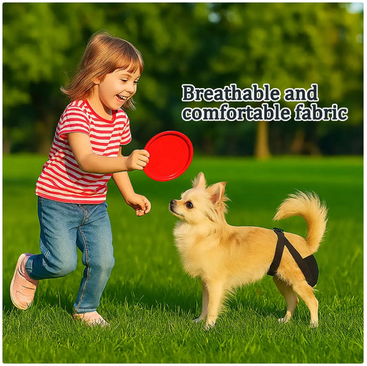 Reusable Female Dog Diaper - Adjustable & Breathable Mesh Dog Sanitary Pant